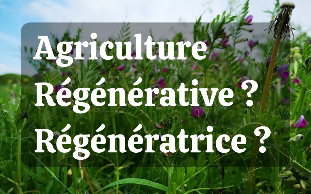 Agriculture régénérative ou Agriculture régénératrice : quelle est la définition ?