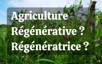 Agriculture régénérative ou Agriculture régénératrice : quelle est la bonne expression ?